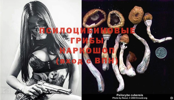 МДПВ Нея