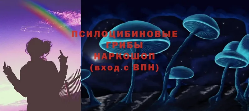 сколько стоит  Избербаш  Галлюциногенные грибы Cubensis 