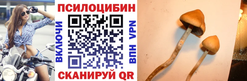 Псилоцибиновые грибы мицелий  hydra рабочий сайт  Избербаш 
