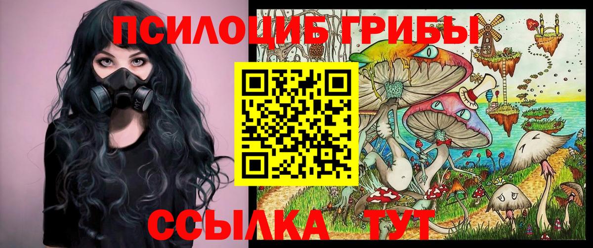 Галлюциногенные грибы Cubensis  хочу   Избербаш  Галлюциногенные грибы мицелий 