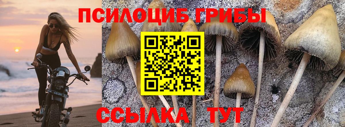 Псилоцибиновые грибы MAGIC MUSHROOMS Избербаш