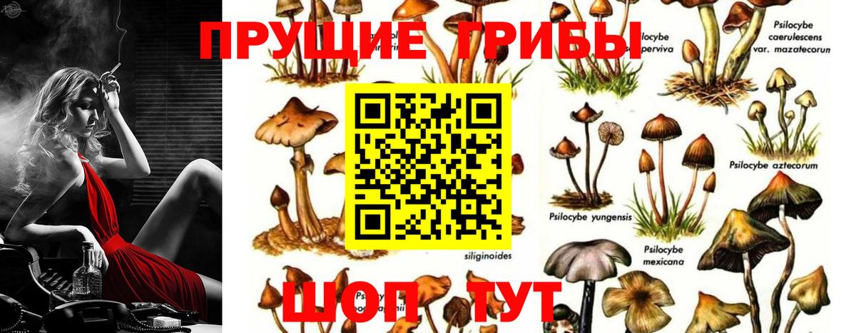 Избербаш  что такое наркотик  Вход с VPN  Галлюциногенные грибы ЛСД 