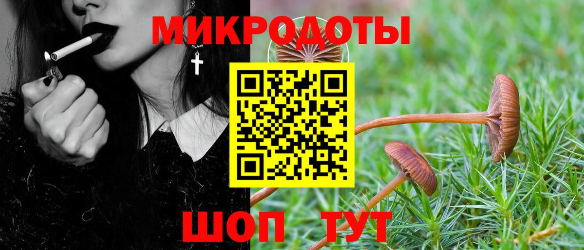 Галлюциногенные грибы Psilocybine cubensis Избербаш